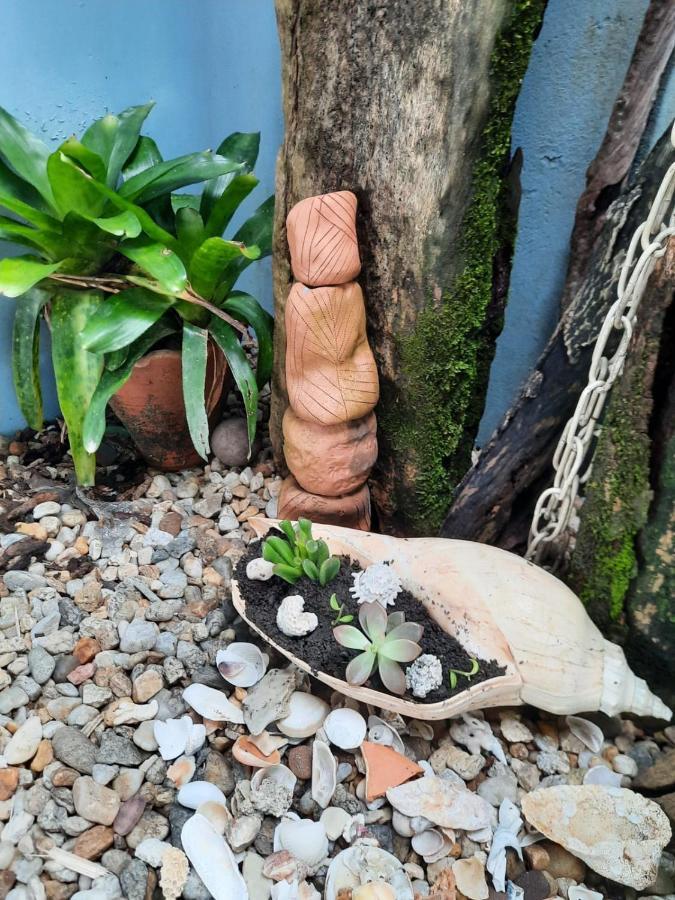 Casa No Paraiso Do Capri サン・フランシスコ・ド・スル エクステリア 写真